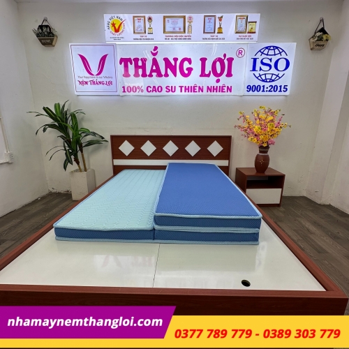Nệm điều hòa Thắng Lợi Vitamin Cool gấp 3