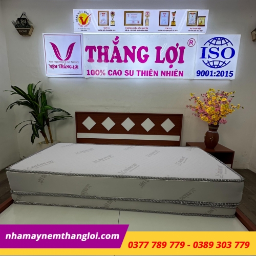 Nệm foam hoạt tính cao cấp Thắng Lợi gấp 3
