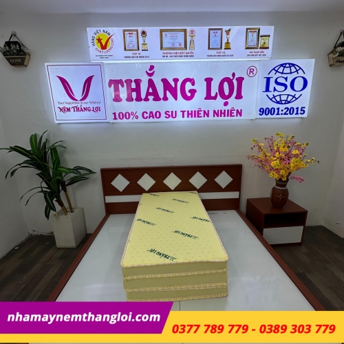 Nệm cao su non Thắng Lợi gấp 3