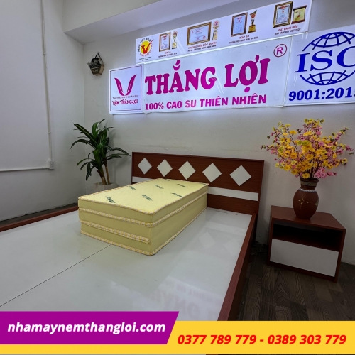 Nệm cao su non Thắng Lợi gấp 3