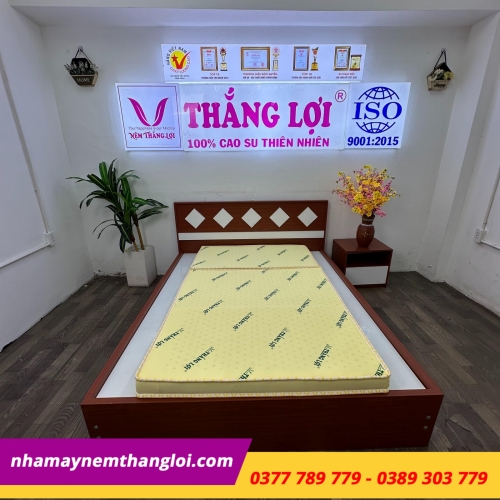 Nệm cao su non Thắng Lợi gấp 3