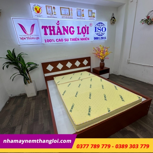 Nệm cao su non Thắng Lợi gấp 3
