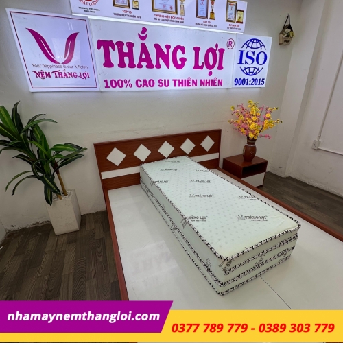 Nệm cao su hoạt tính Thắng Lợi Gấp 3