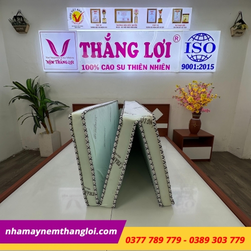 Nệm cao su hoạt tính Thắng Lợi Gấp 3