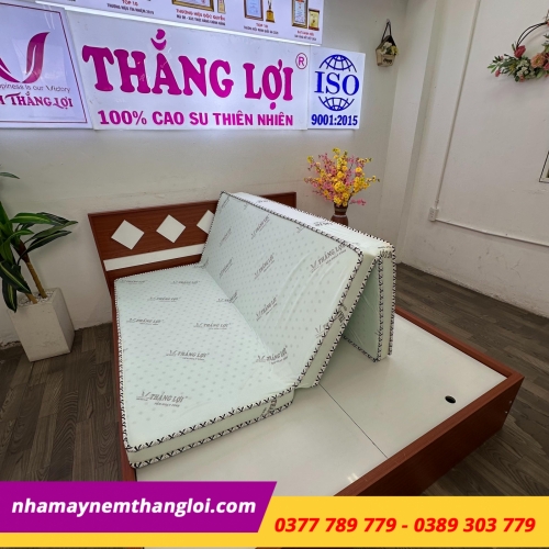 Nệm cao su hoạt tính Thắng Lợi Gấp 3