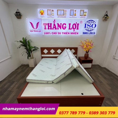 Nệm cao su hoạt tính Thắng Lợi Gấp 3