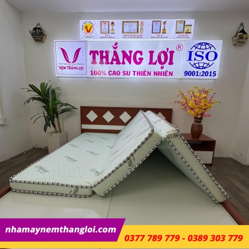 Nệm cao su hoạt tính Thắng Lợi Gấp 3