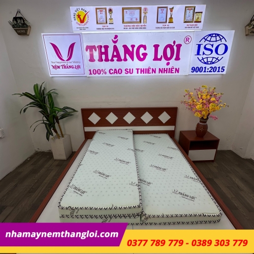 Nệm cao su hoạt tính Thắng Lợi Gấp 3