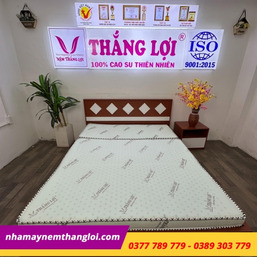 Nệm cao su hoạt tính Thắng Lợi Gấp 3