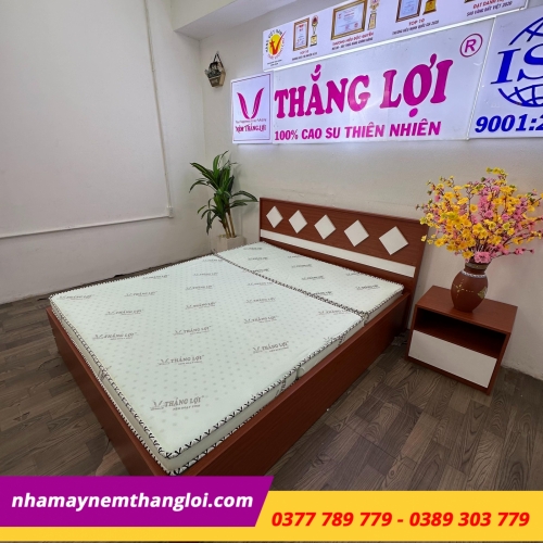 Nệm cao su hoạt tính Thắng Lợi Gấp 3