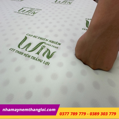 Nệm cao su thiên nhiên Super Win Thắng Lợi gấp 3