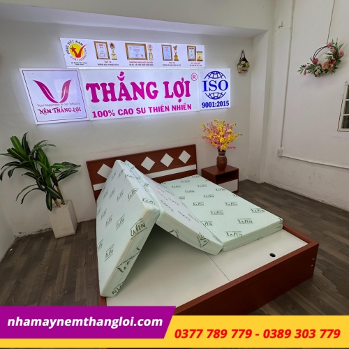Nệm cao su thiên nhiên Super Win Thắng Lợi gấp 3
