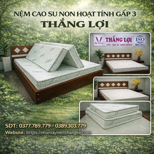 Nệm cao su hoạt tính Thắng Lợi Gấp 3