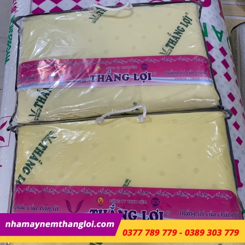 BỘ GỐI CAO SU NON THẮNG LỢI ( 2 NẰM + 1 ÔM )