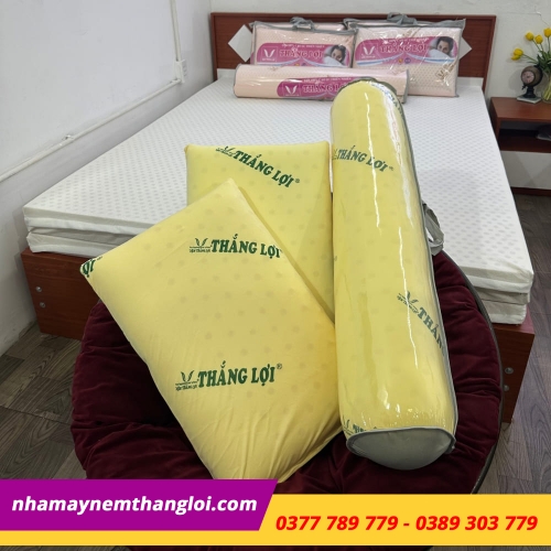 BỘ GỐI CAO SU NON THẮNG LỢI ( 2 NẰM + 1 ÔM )
