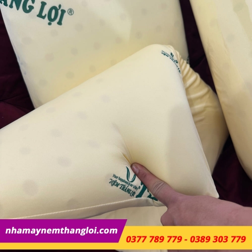 BỘ GỐI CAO SU NON THẮNG LỢI ( 2 NẰM + 1 ÔM )