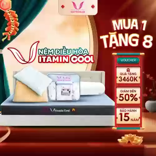 Nệm điều hòa Thắng Lợi Vitamin Cool 4 màu