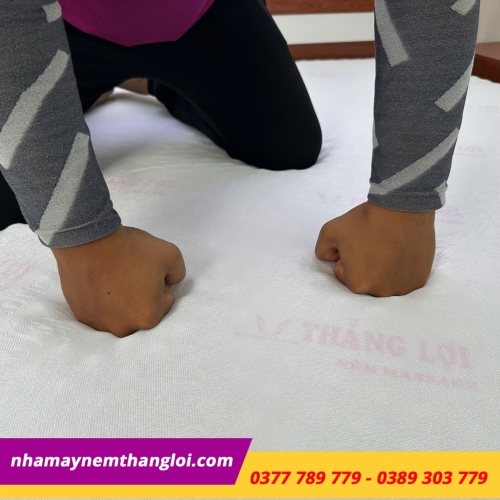 Nệm Foam cao cấp massage Thắng Lợi