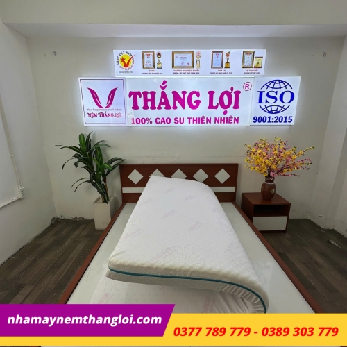 Nệm Foam cao cấp massage Thắng Lợi
