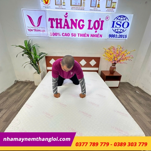 Nệm Foam cao cấp massage Thắng Lợi