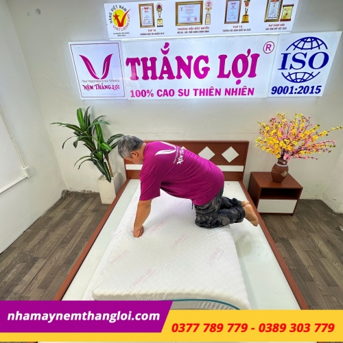 Nệm Foam cao cấp massage Thắng Lợi